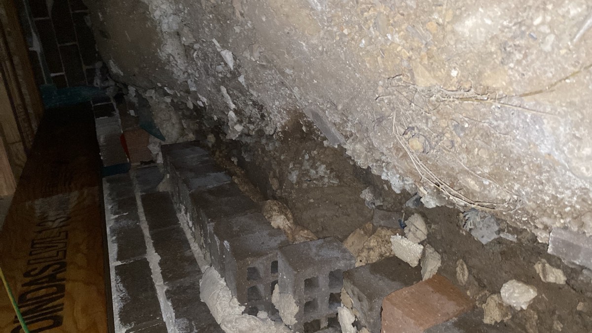 Why no inspector can guarantee a house is termite free